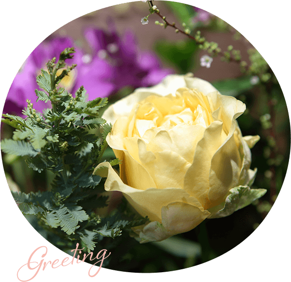 離婚解決の過程も明るいものに